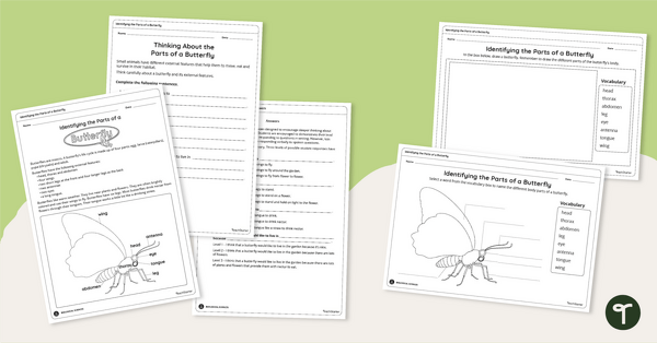 Go to Parts of a Butterfly - Labeling Activity Sheets teaching resource
