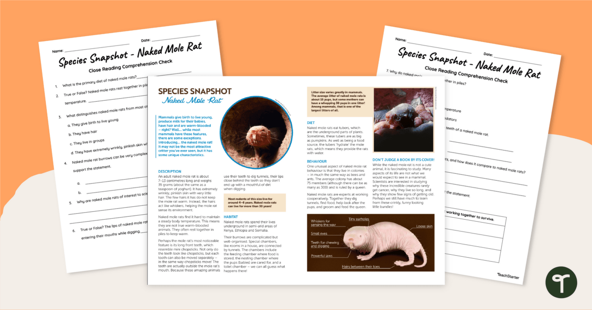 Naked Mole Rat - Reading Comprehension Worksheets teaching resource