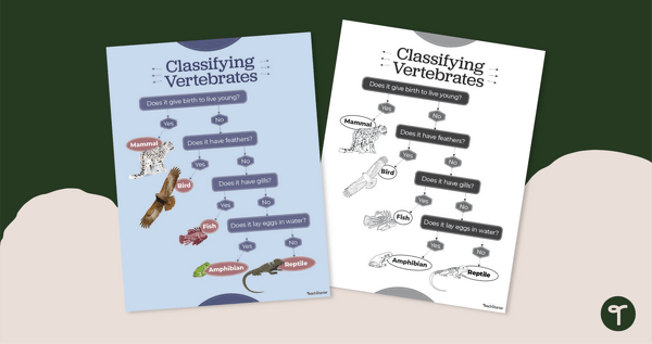 Go to Classifying Vertebrates Flow Chart Poster teaching resource
