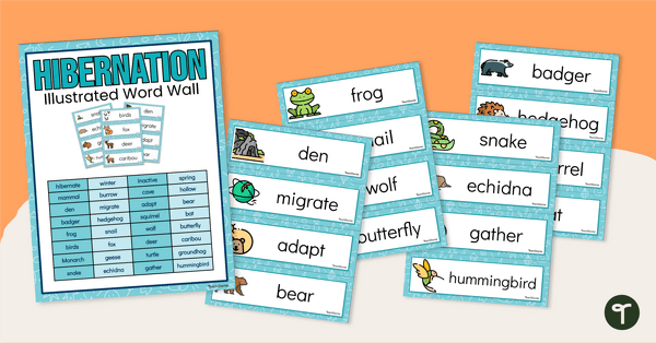 Go to Hibernation Word Wall - Illustrated teaching resource