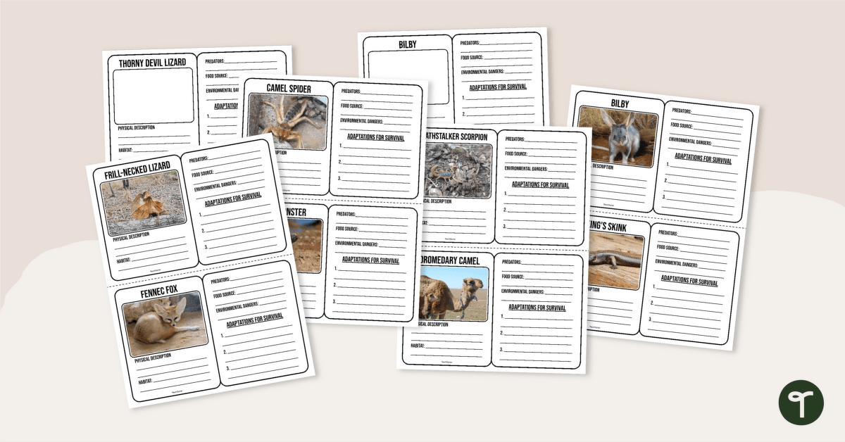 Desert Animal Adaptations - Trading Card Templates teaching resource