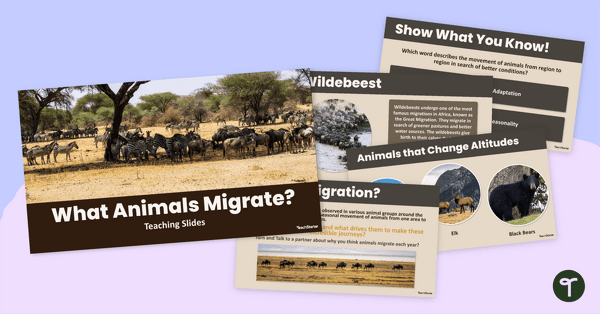 Go to What Animals Migrate? Teaching Slide Deck teaching resource