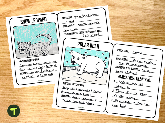 Animals in the Tundra Adaptations Trading Cards teaching resource