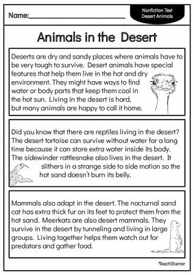 Free Desert Animal Adaptations Worksheets - Comprehension teaching resource