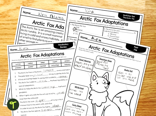 Arctic Fox Adaptations - Free Comprehension Worksheets teaching resource