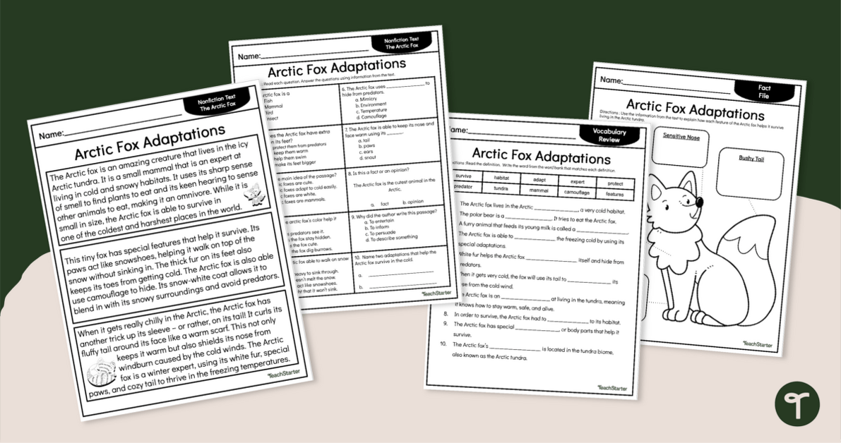 Arctic Fox Adaptations - Free Comprehension Worksheets teaching resource