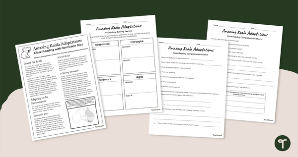 Go to Koala Adaptations Reading Comprehension Worksheets teaching resource