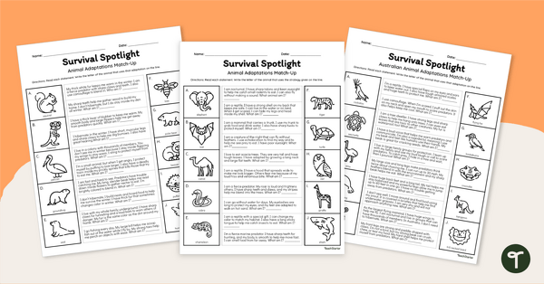 Go to Survival Spotlight - Physical Adaptations Animal Riddle Worksheets teaching resource