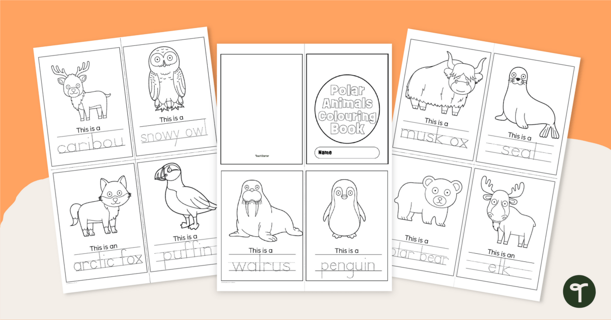 Arctic Animals Colouring Page Booklet teaching resource