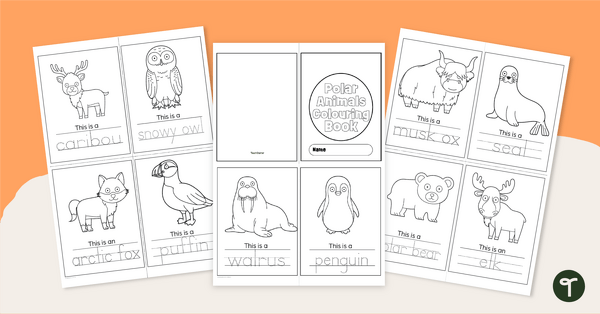 Go to Arctic Animals Colouring Page Booklet teaching resource