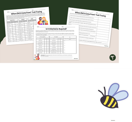 Is It Inherited or Acquired? Traits Worksheets teaching resource