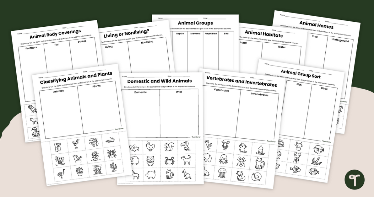 Animal Classification Worksheets for Foundation Year teaching resource