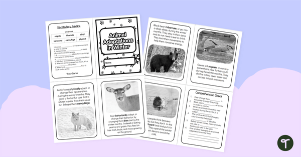 Go to Animals in Winter - Adaptations Mini Book teaching resource