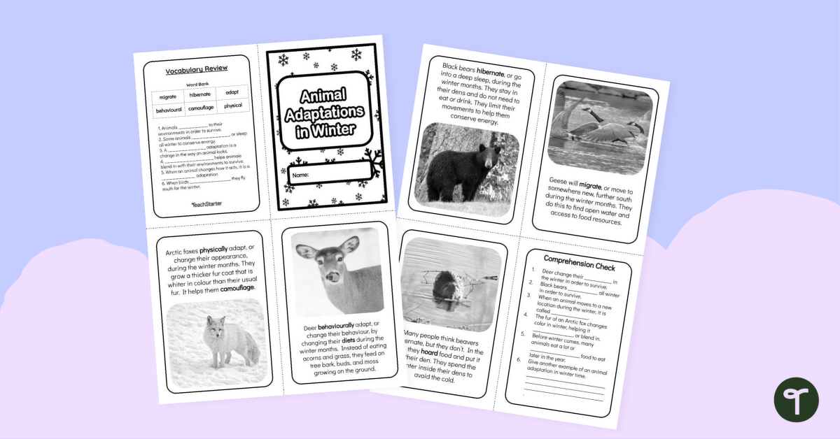 Animals in Winter Printable Mini Book teaching resource