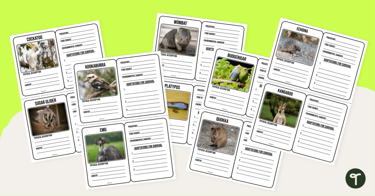 Australian Animal Adaptations Trading Cards - Forest Biome teaching resource