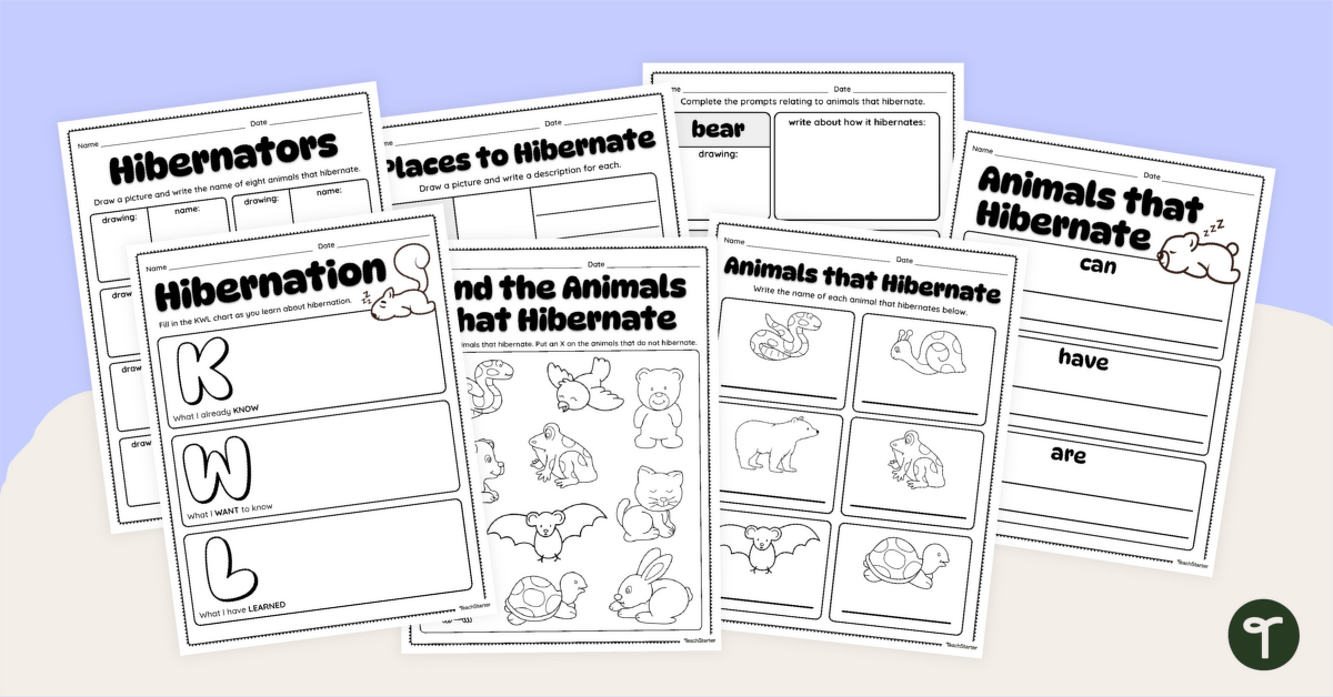 Animals and Hibernation Worksheet Pack teaching resource
