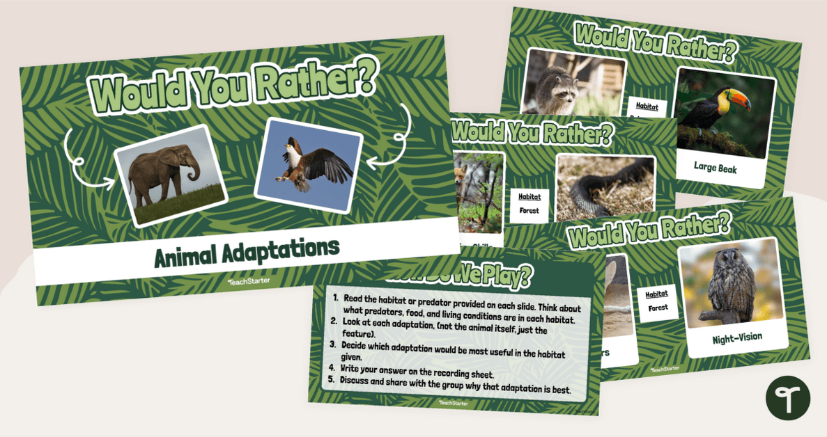 Would You Rather? Animal Adaptations Game teaching resource
