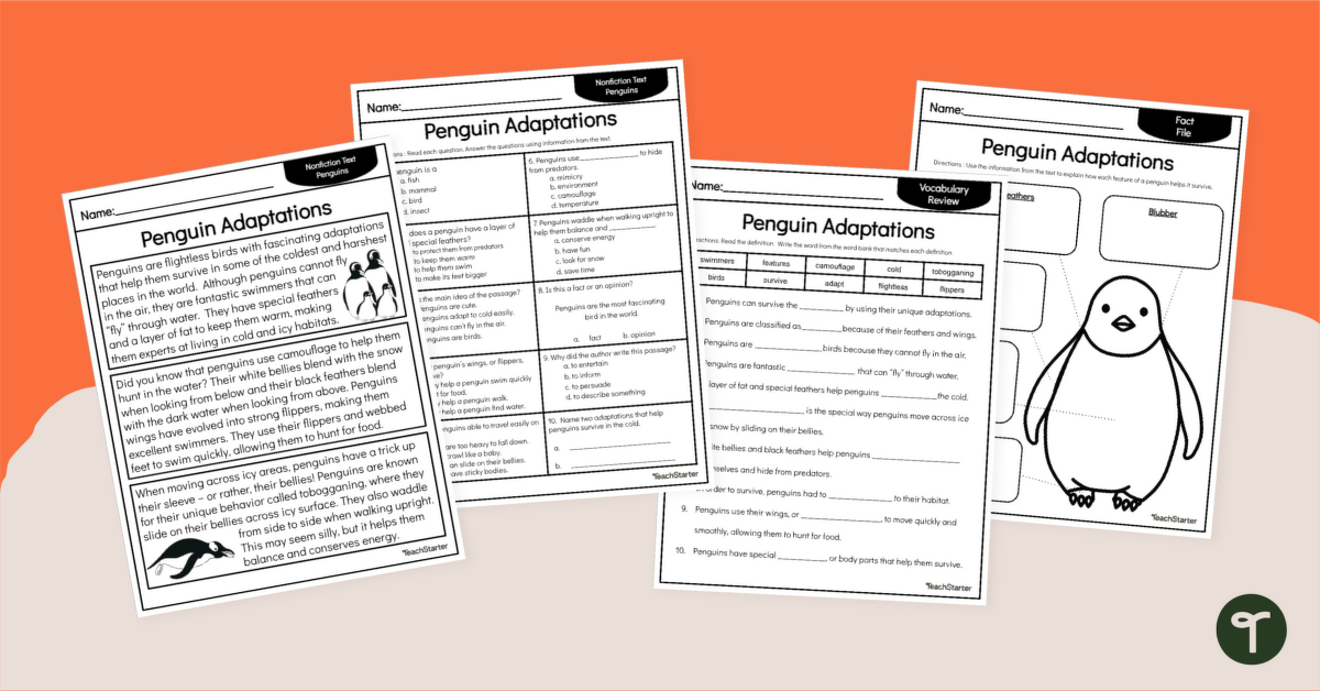 Penguin Adaptations Printables - Comprehension Worksheets teaching resource