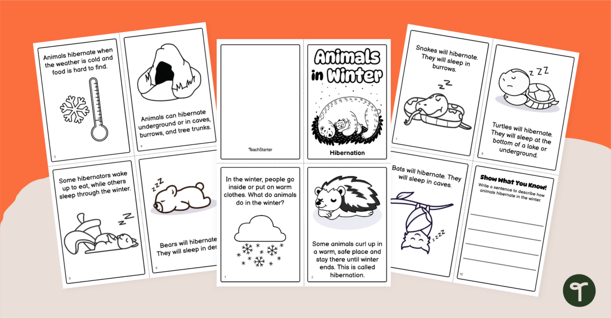 Animals in Winter - Hibernation Mini Book teaching resource