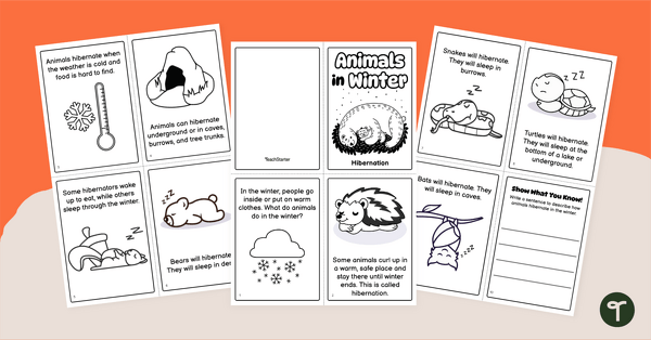 Go to Animals in Winter - Hibernation Mini Book teaching resource