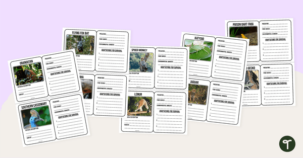 Go to Tropical Rainforest Animal Adaptations Fact Template teaching resource