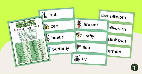 Go to Insect Word Wall - Insect Names and Pictures teaching resource