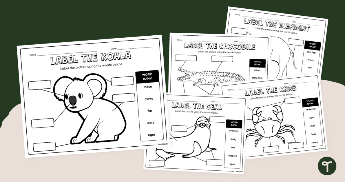 Characteristics of Animals - Labelling Worksheets teaching resource
