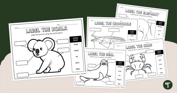 Go to Parts of an Animal Body - Labeling Worksheets teaching resource