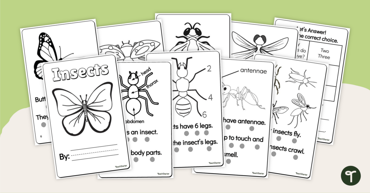Features of Insects Mini Book teaching resource