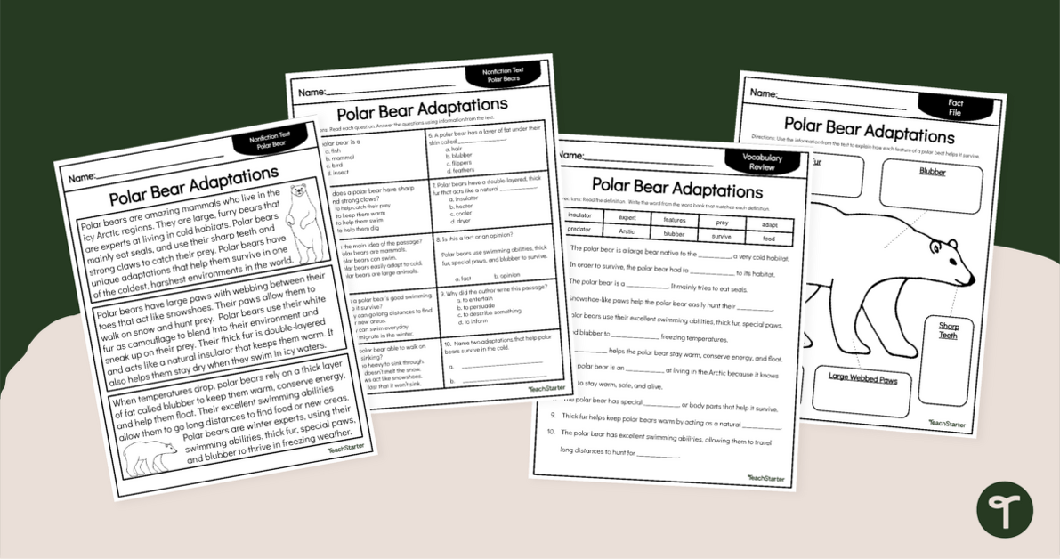 Polar Bear Adaptations Reading Comprehension Pack teaching resource