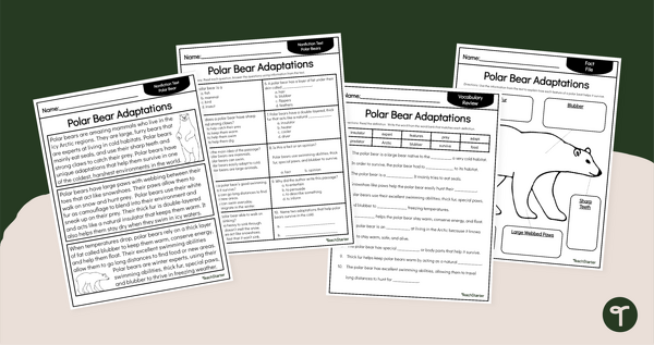 Go to Polar Bear Adaptations Reading Comprehension Pack teaching resource