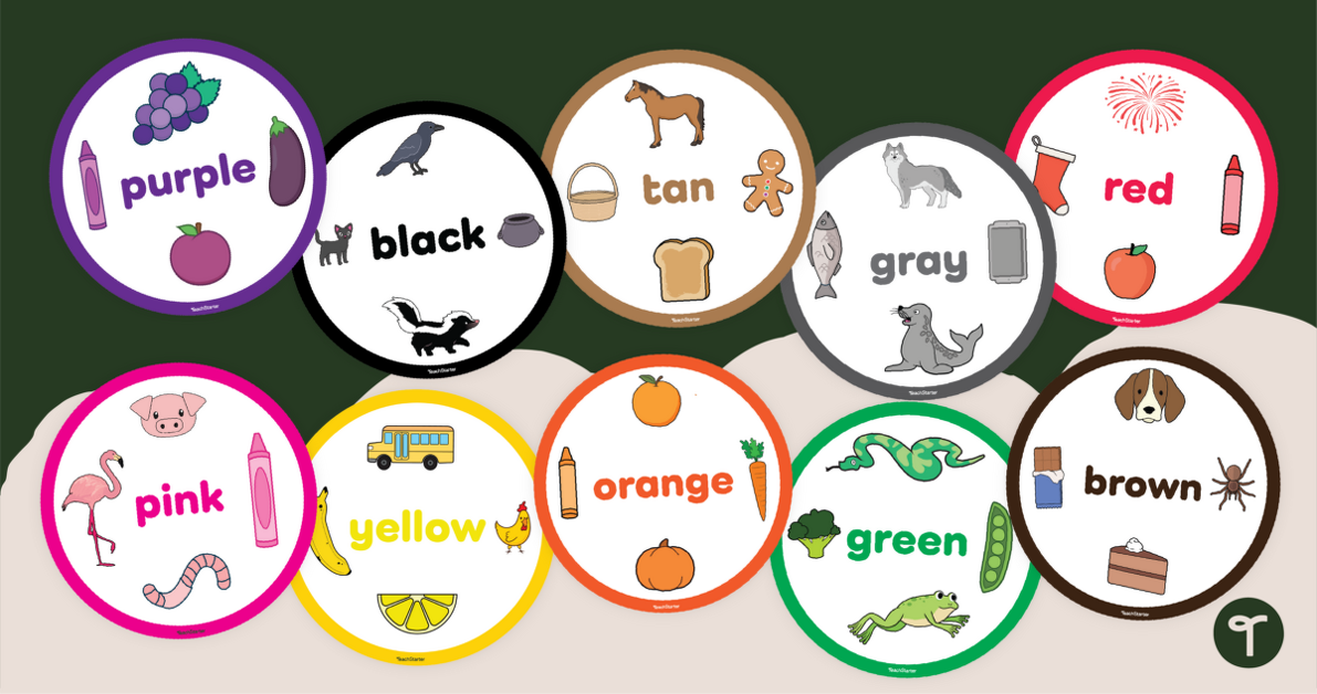 Classroom Color Charts teaching resource