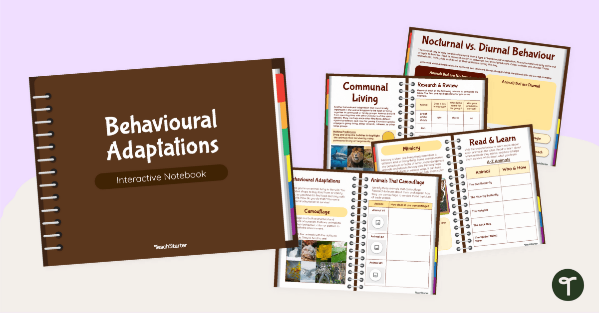What Are Behavioural Adaptations? Digital Interactive Notebook teaching resource
