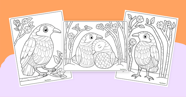 Go to Bowerbird Coloring Sheets teaching resource