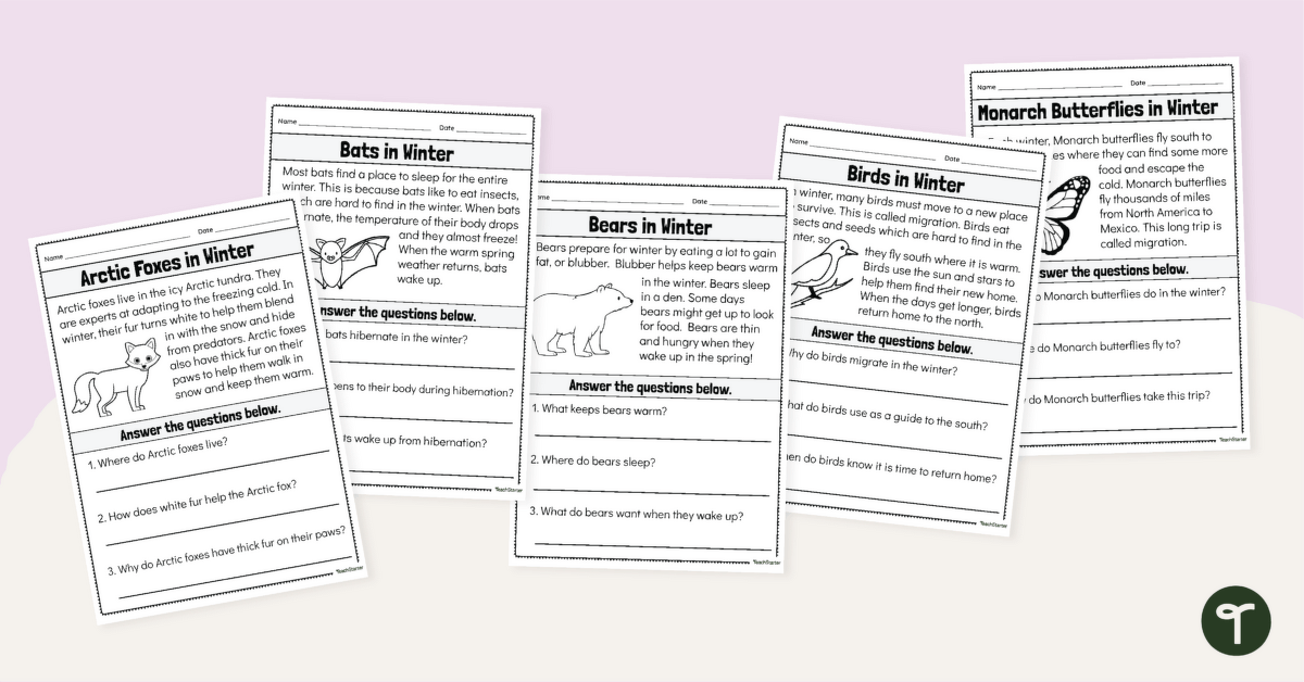 Animals in Winter - Year 1 Reading Worksheets teaching resource