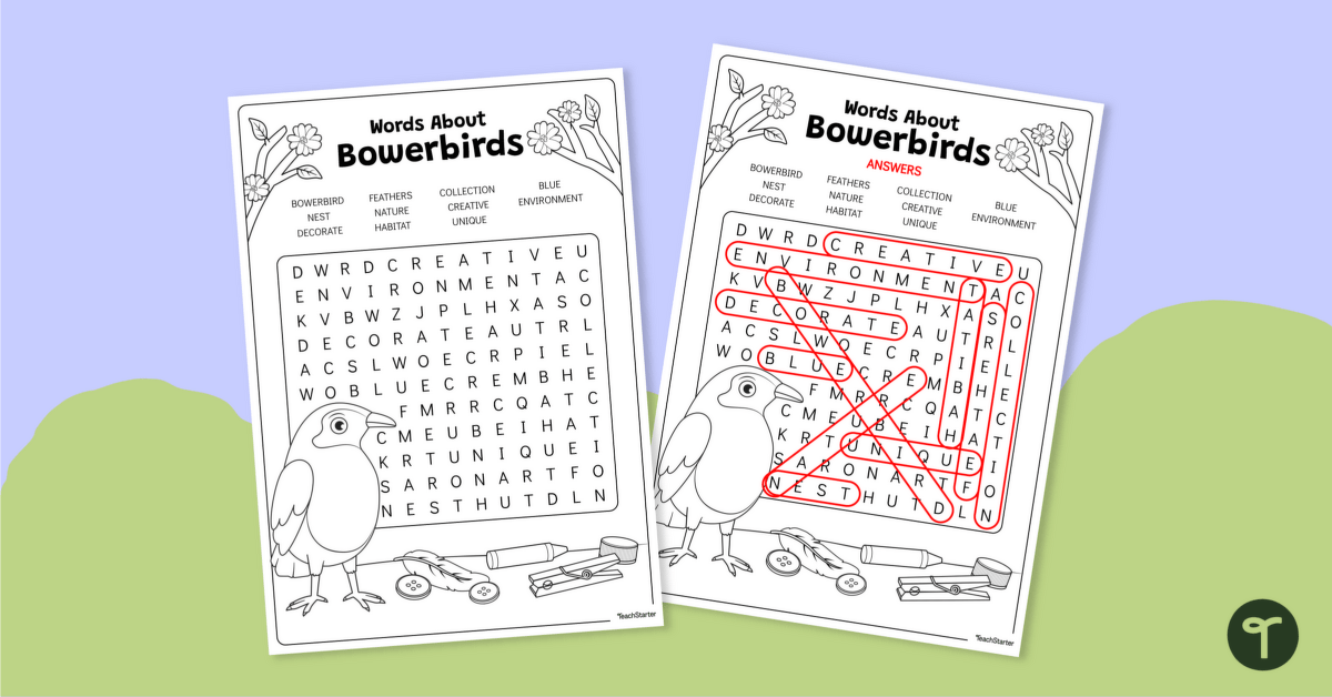 Bowerbird Word Search teaching resource