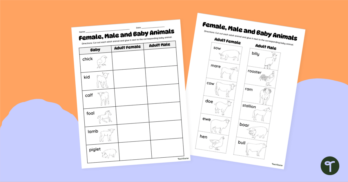 Female, Male and Baby Animals Worksheet teaching resource