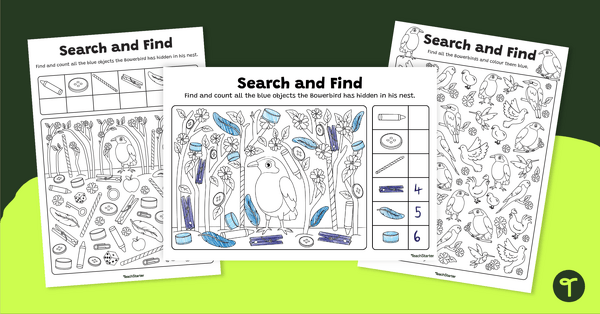 Go to Search and Find Bowerbird Worksheets teaching resource