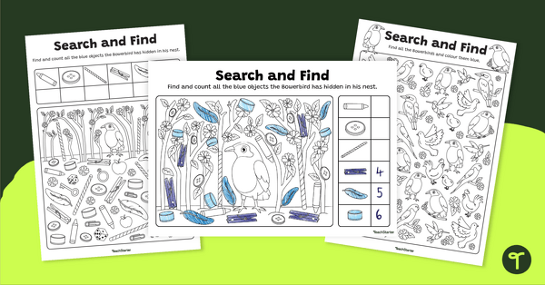 Image of Search and Find Bowerbird Worksheets