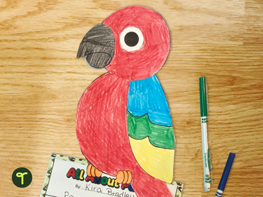 Rainforest Bird Craft & Writing Template teaching resource