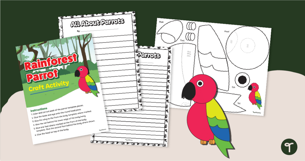 Rainforest Bird Craft & Writing Template teaching resource