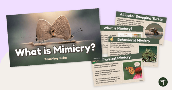Go to What is Mimicry? Teaching Slides teaching resource