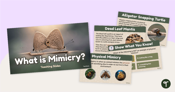 Go to What is Mimicry? Teaching Slides teaching resource