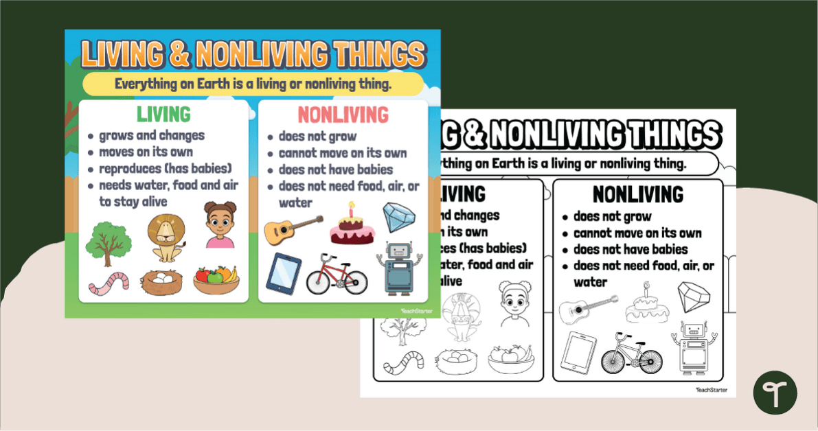 Living and Non-Living Things Poster teaching resource