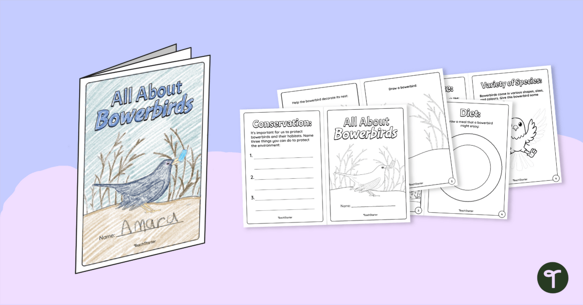 All About Bowerbirds Mini Book teaching resource