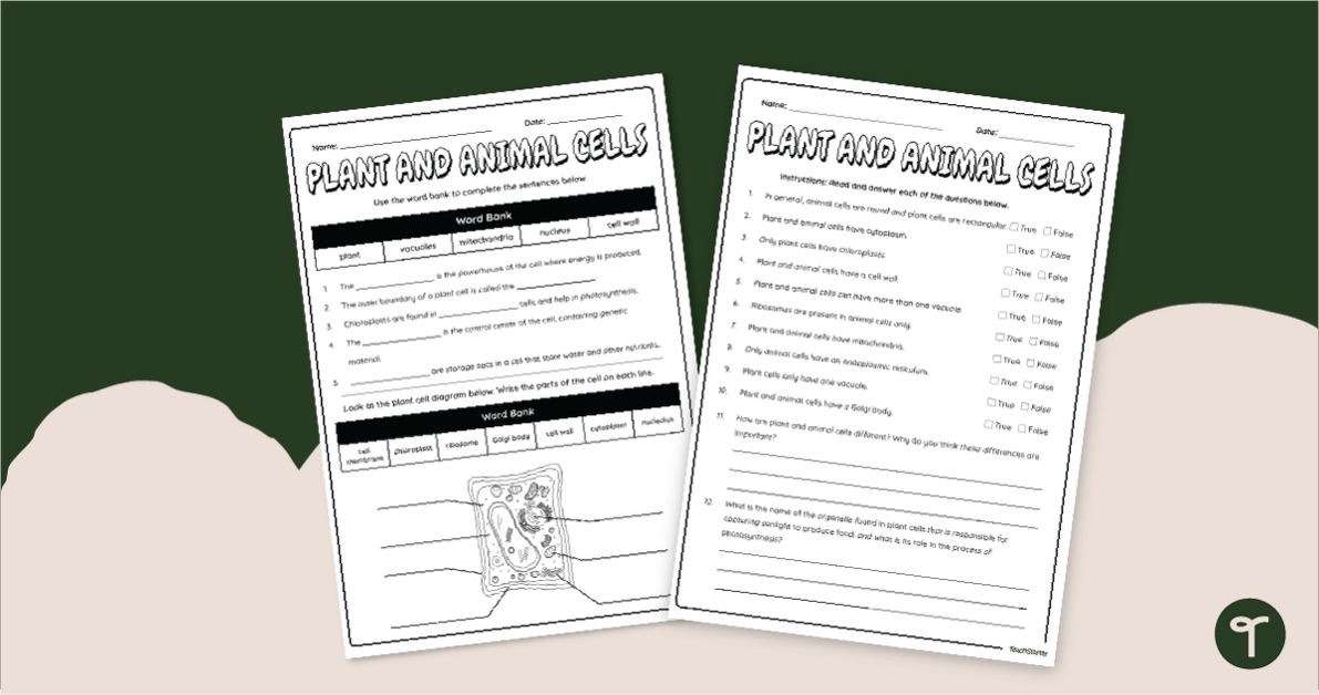 Plant and Animal Cells Worksheet teaching resource