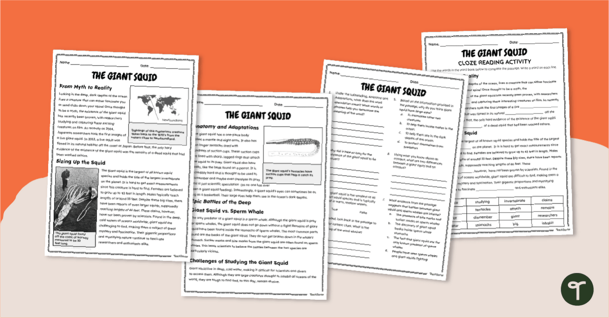 Giant Squid Reading Comprehension Worksheets - Year 5 teaching resource