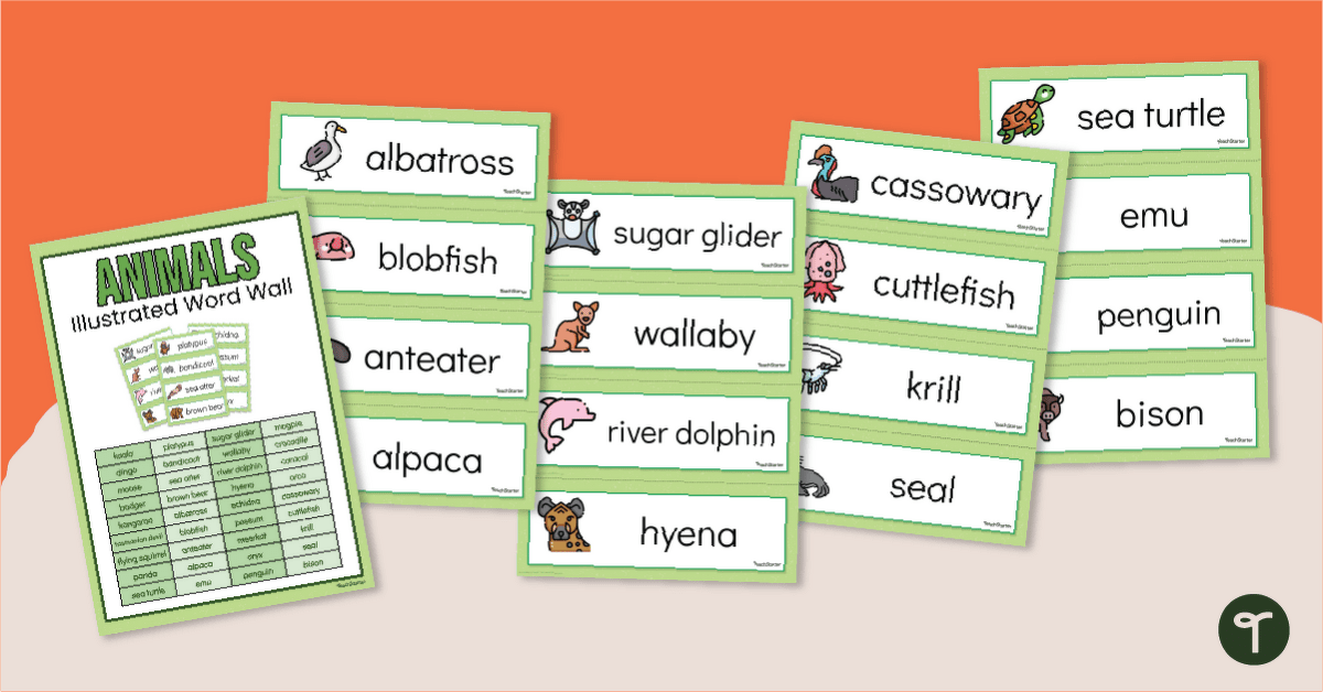 Animal Flash Cards & Word Wall teaching resource