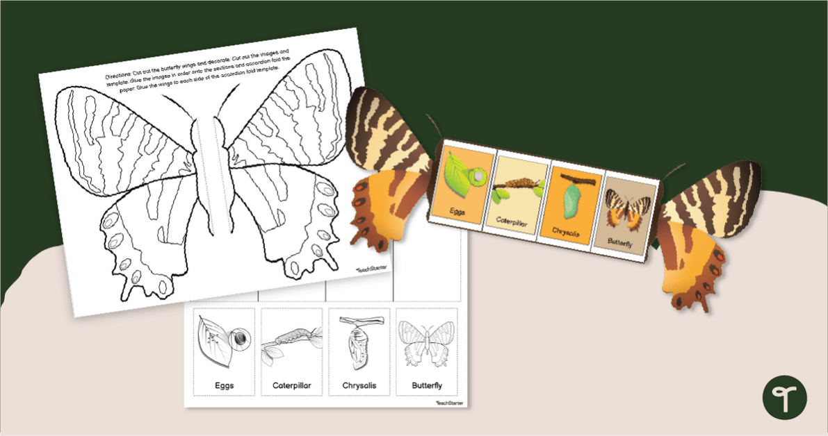Life Cycle of a Butterfly Activity - Printable Accordion Book teaching resource