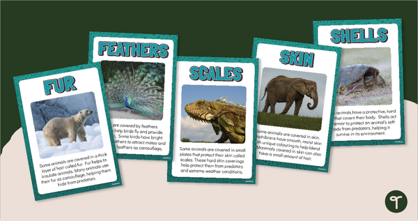 Go to Animal Body Coverings Poster Set teaching resource
